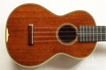 HM-C20 Concert -TR10th Anniversary Model- #361